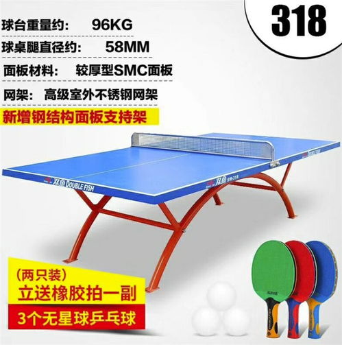 學校用乒乓球桌批發商 廣州乒乓球桌 強利體育器材品質保證