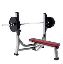 美國(guó)力健lifefitness sofb奧林匹克水平推舉椅 專業(yè)力量訓(xùn)練器材圖片,美國(guó)力健lifefitness sofb奧林匹克水平推舉椅 專業(yè)力量訓(xùn)練器材高清圖片 上?？刀〗∩砥鞑某Ｖ莘止? class=